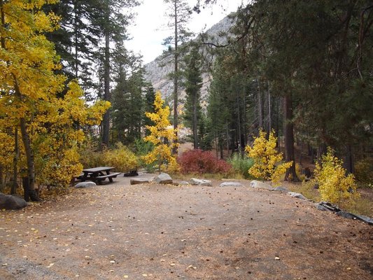 Big Bend Campground photo 2