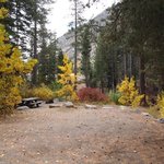 Big bend campground california