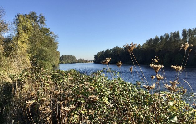 River Bend Resort and RV Park photo 2