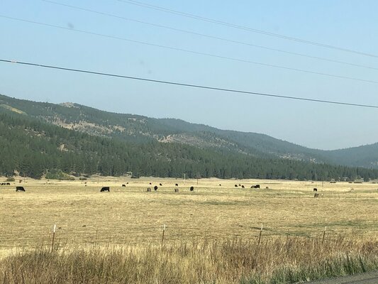 Wild Goose Meadows RV Park photo 2