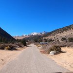 Bitterbrush campground