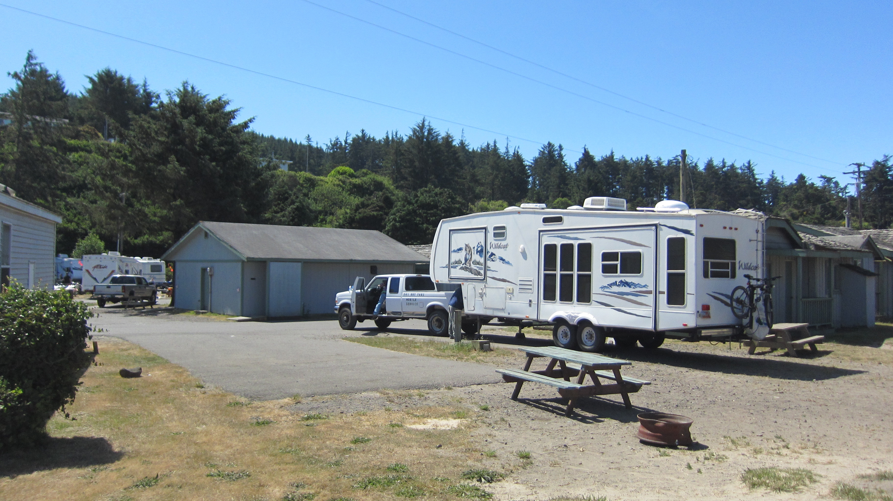 Umpqua Dunes Campground Reviews updated 2024