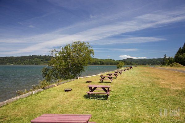 McKinley's Marina & RV Park