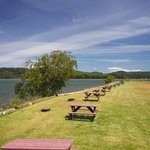 Mckinleys marina and rv park