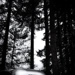 Chehalis rv camping resort