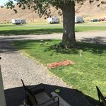 Tucannon river rv park