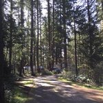 American heritage campground