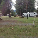 Packwood rv park campground