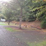Shadow mountain general store and rv park