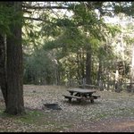 Bridge flat campground
