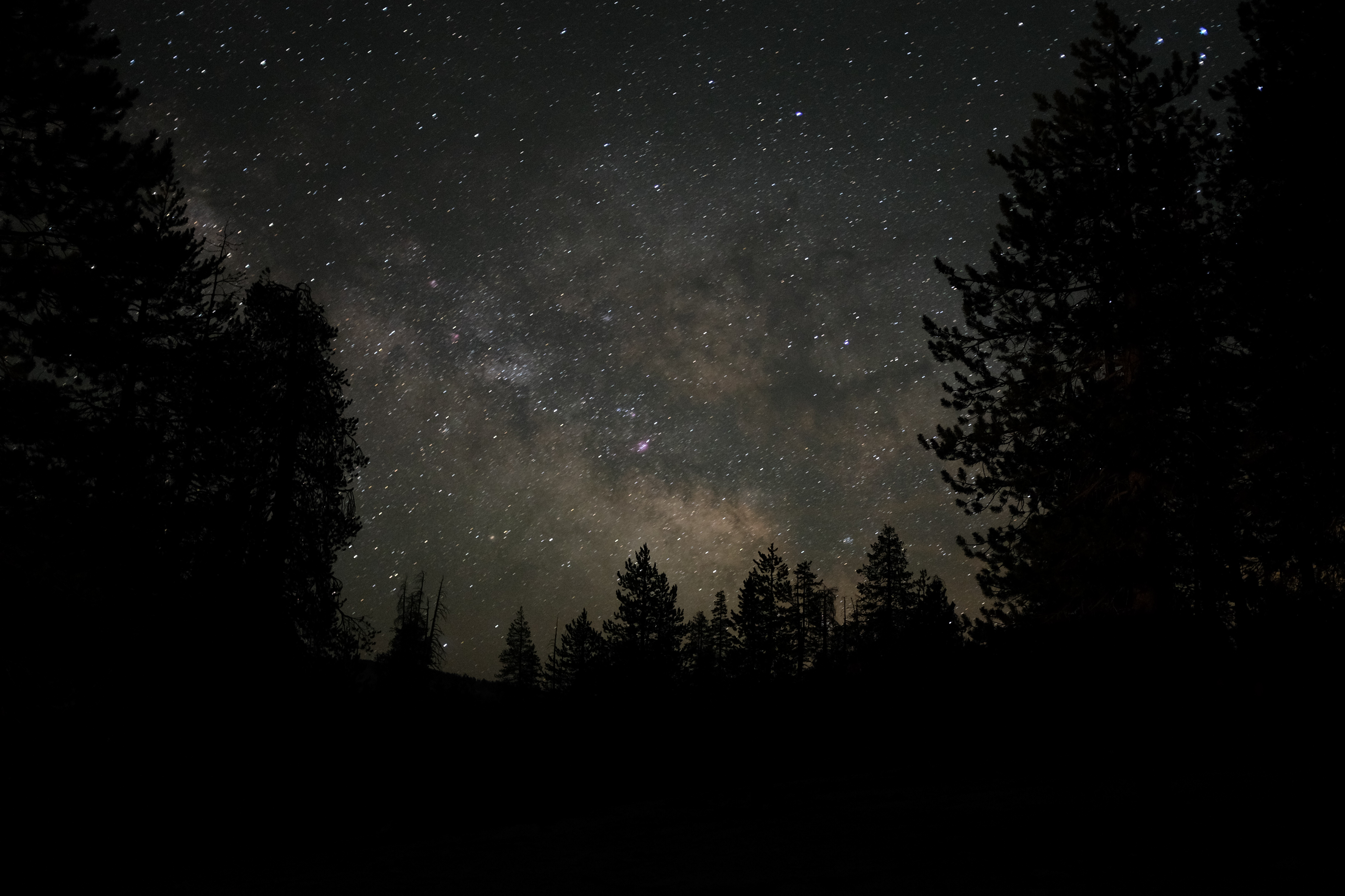 Bridalveil Creek Campground - Main photo