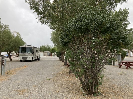 Star Valley Ranch Resort Reviews updated 2025