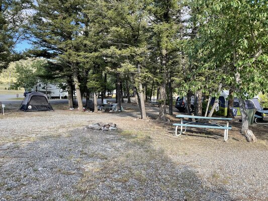 Merry Widow Health Mine Campground photo 2