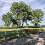 Cottonwood camp
