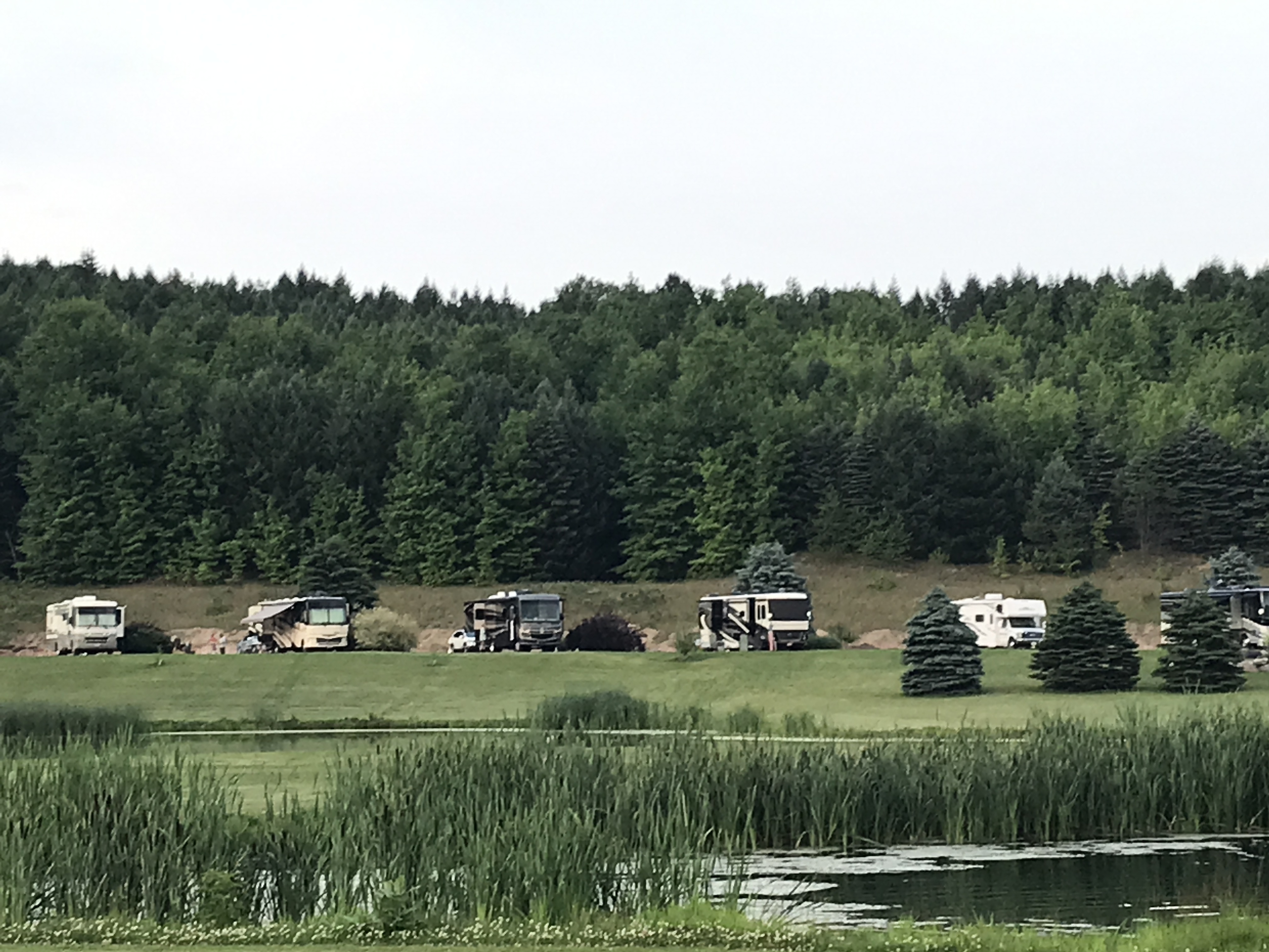 Wild Cherry Resort