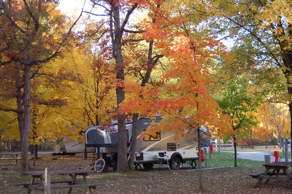 Kestelwoods Campgrounds photo 2