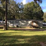 Shady acres campground alabama