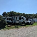 Kudzu campground