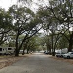Johnnys rv resort