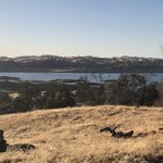 Codorniz recreation area