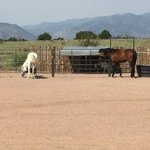 Mountain view rv resort