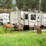 Manor rv park