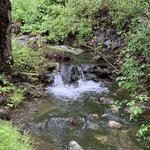 Davy brown campground