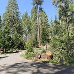 Dimond o campground