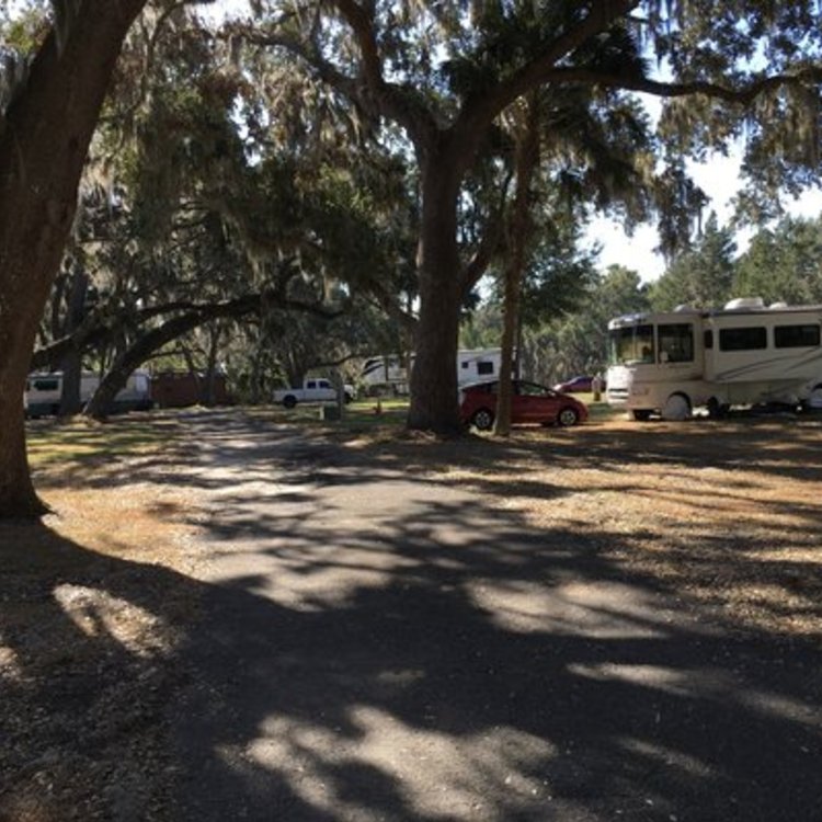 Strawman S Profile Campendium