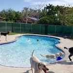 Miami everglades resort