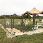 Waters edge rv resort of punta gorda