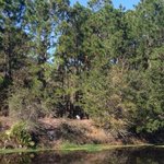 Buttonwood bay rv resort