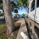 Silver springs rv campers garden