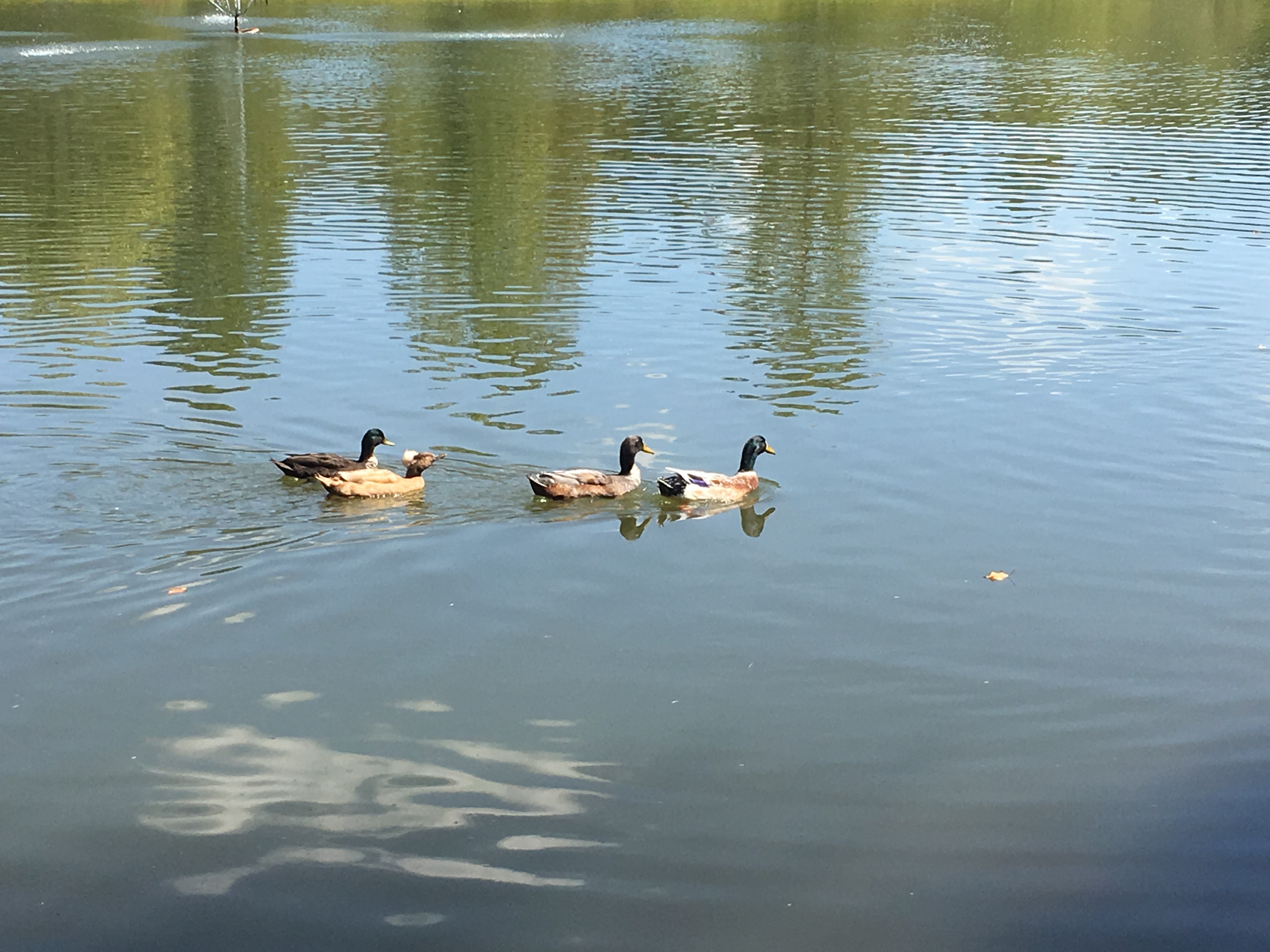 Leisure Acres Campground Reviews updated 2024