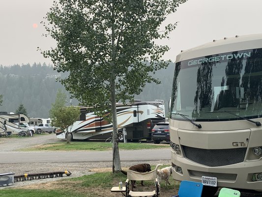 Blackwell Island RV Park photo 2