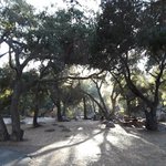 Foster park
