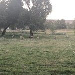 Trail break rv park and campground