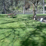 Harpster riverside rv park