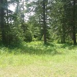 Alpine country store and rv park