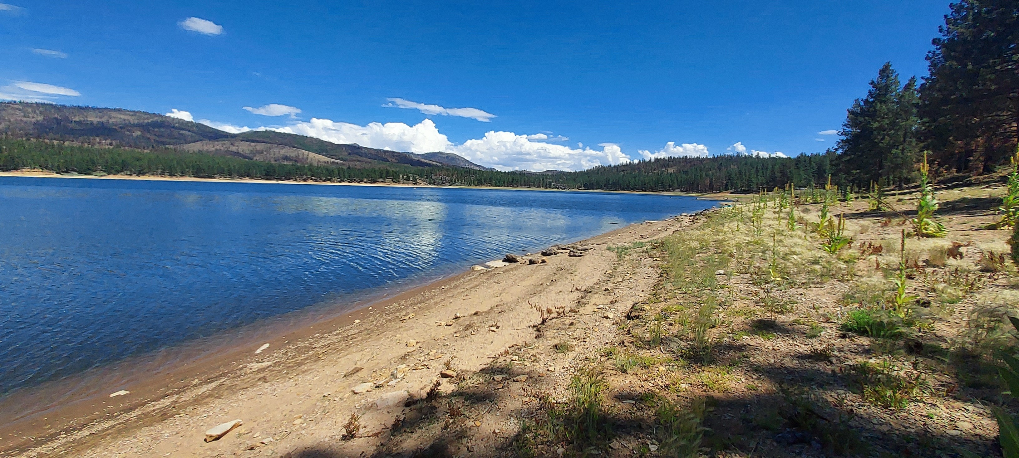 Frenchman Campground Reviews updated 2024