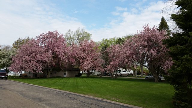 Mt Hawley Mobilehome & RV Park photo 2