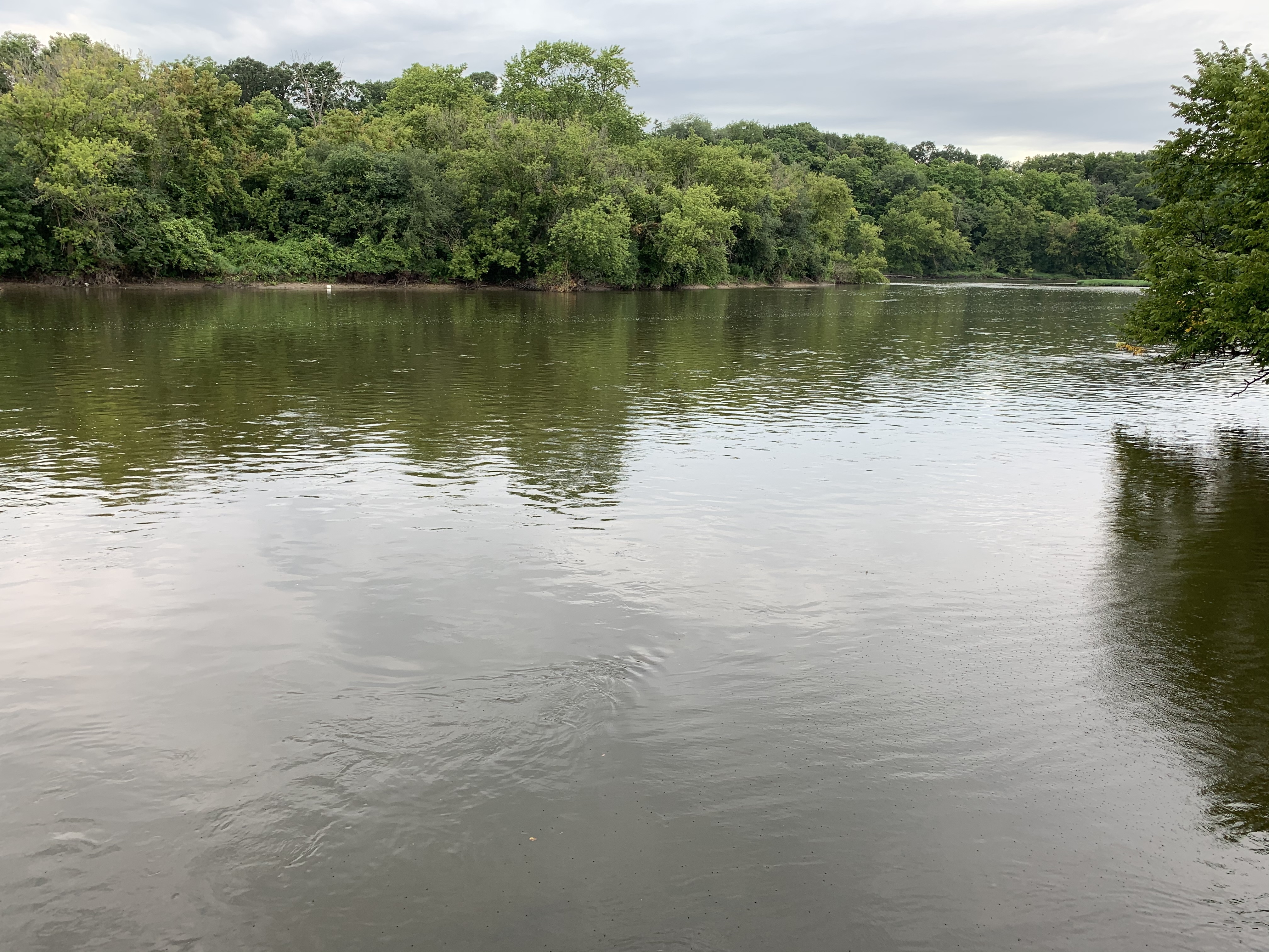 Fox Bluff Vacation Cottage & RV Resort - Main photo