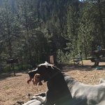 Goose meadow campground