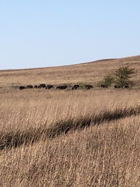 Emporia RV Park - Main photo