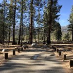 Heart bar campground