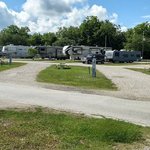 Frog city rv park