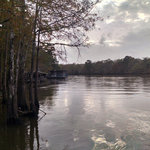 Nibletts bluff park