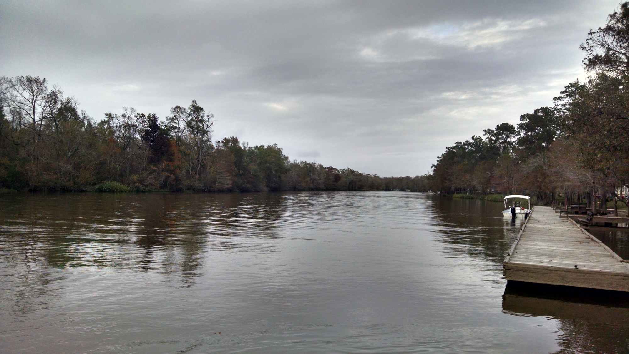 Photo of Niblett's Bluff Park Roadtrippers