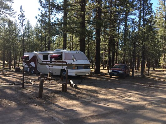 holcomb valley campground