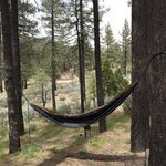 Horse flats campgrounds
